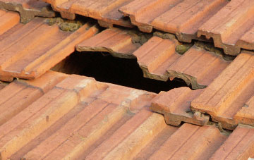 roof repair Puddington