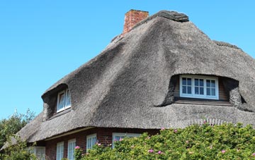 thatch roofing Puddington